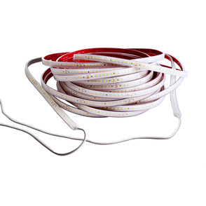 LED Stripes ab IP44 bei EAA Elektro Anlagenbau Amberg in Amberg